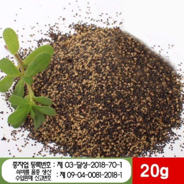 쇠비름씨앗 20g 1봉 - 국산 약초씨 쇠비름종자